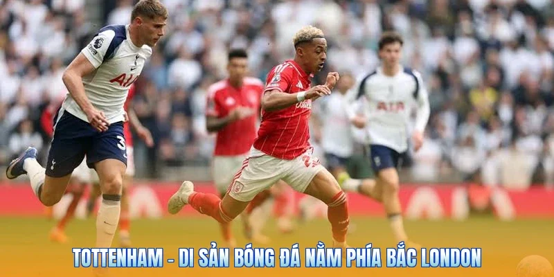 Tottenham – Di Sản Bóng Đá Nằm Phía Bắc London